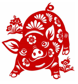 Année du Cochon 2019