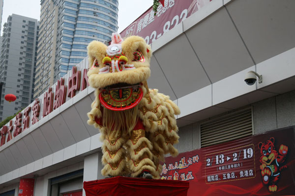 Nouvel An Chinois 2010