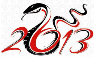 Année du Serpent 2013